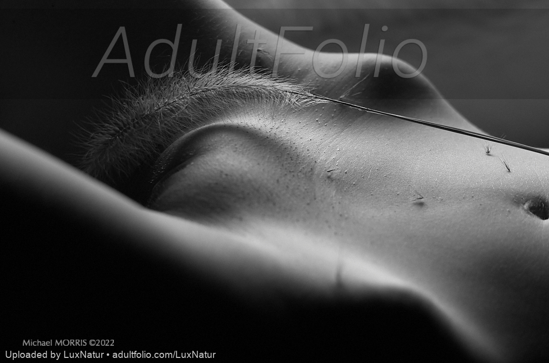 https://www.adultfolio.com/images/watermark/1003637.jpg