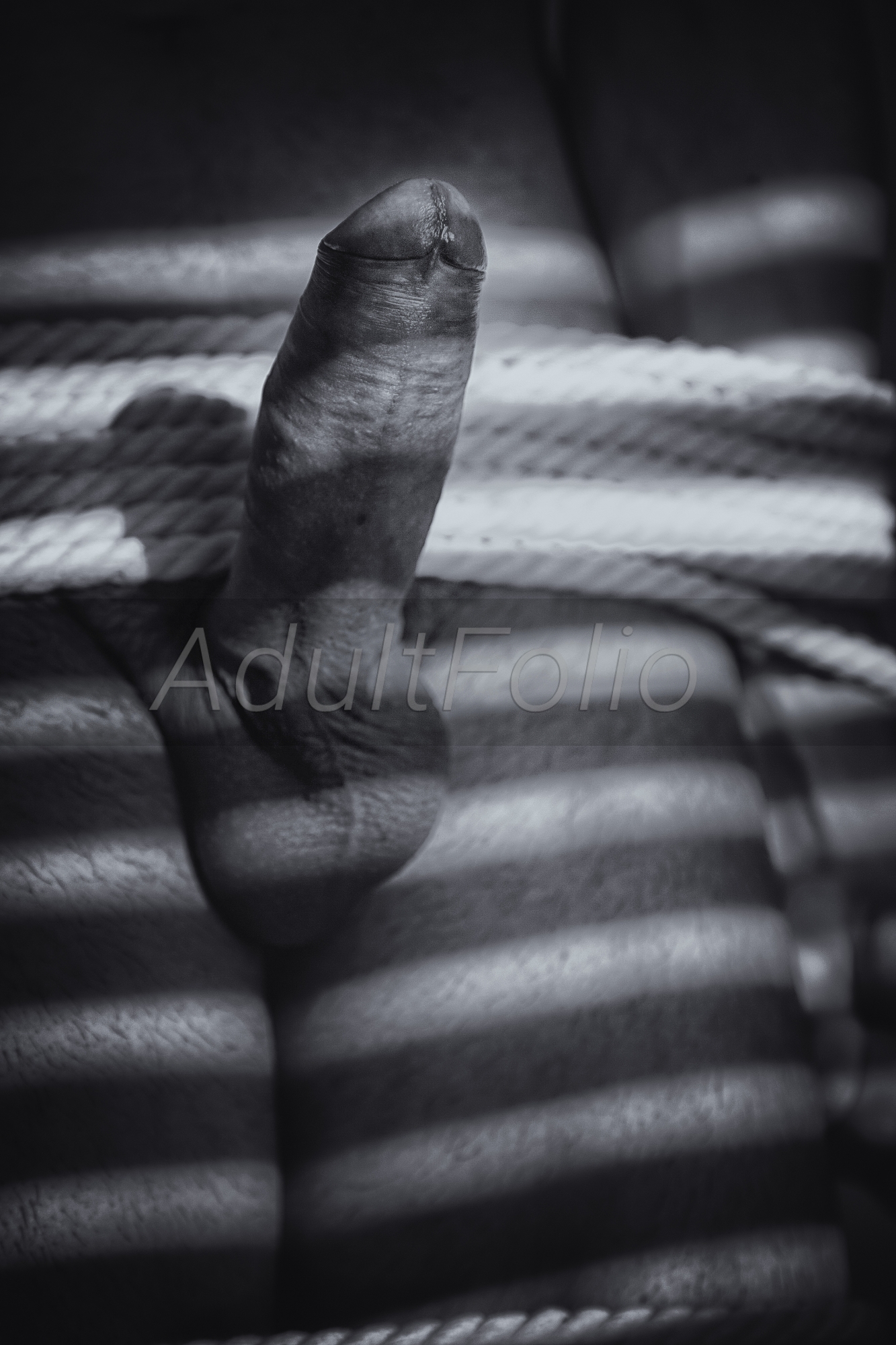 https://www.adultfolio.com/images/watermark/1018474.jpg