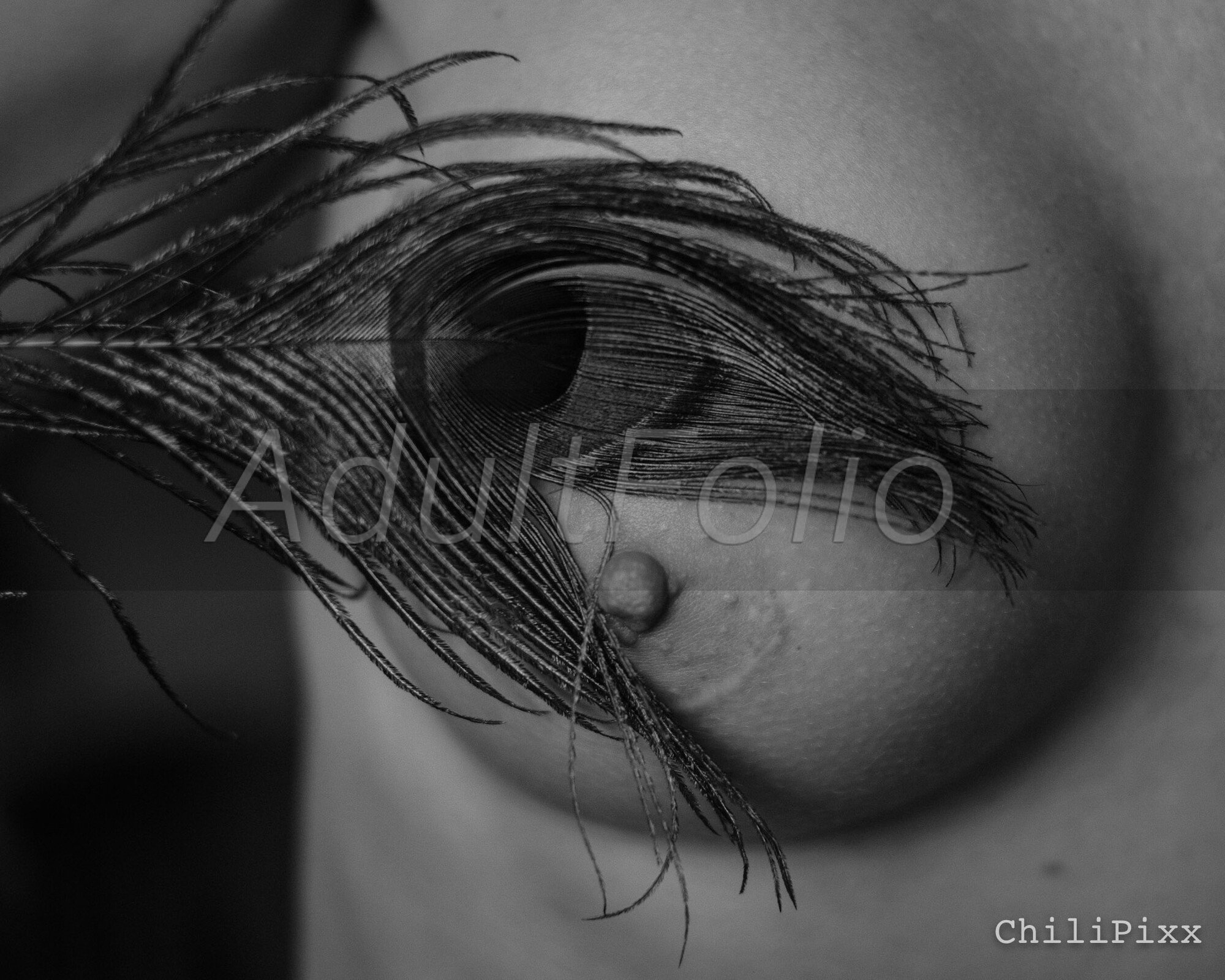 https://www.adultfolio.com/images/watermark/1091757.jpg