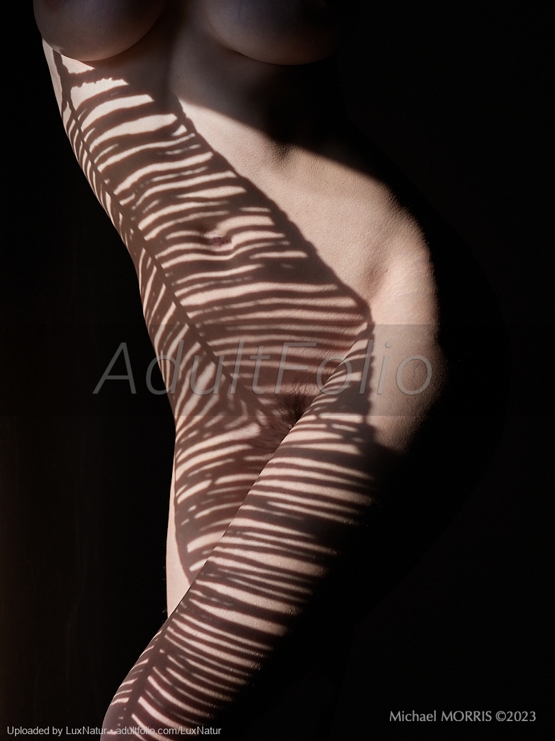 https://www.adultfolio.com/images/watermark/1115649.jpg