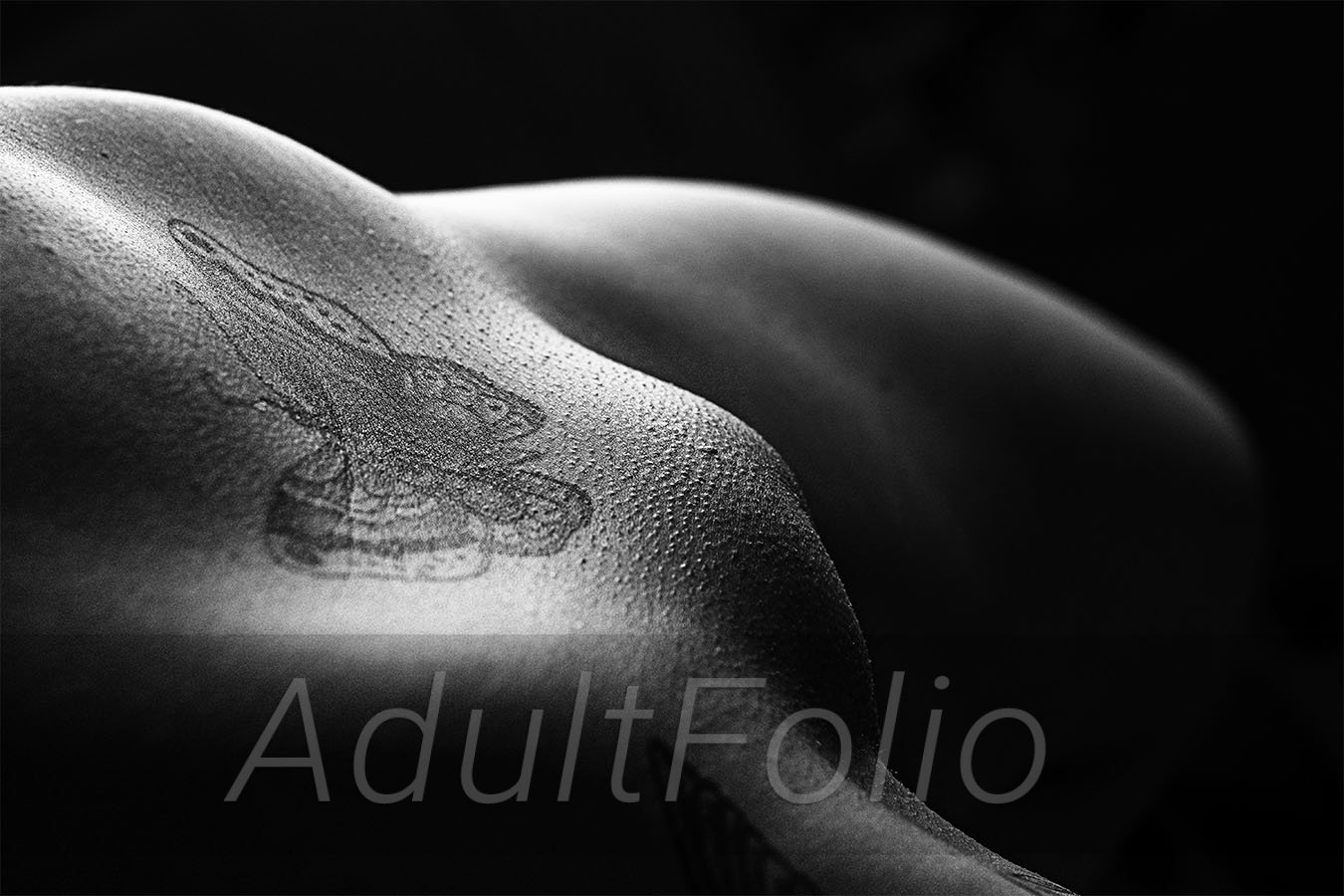 https://www.adultfolio.com/images/watermark/1131424.jpg