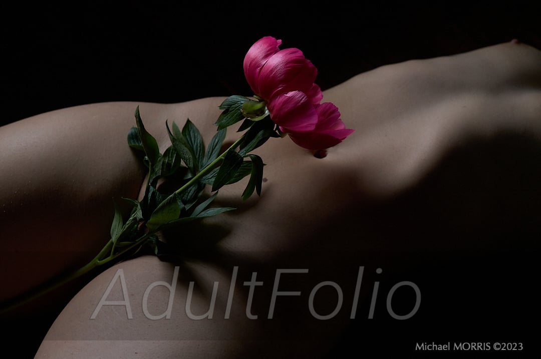 https://www.adultfolio.com/images/watermark/1150866.jpg