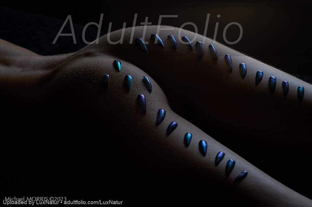 https://www.adultfolio.com/images/watermark/1174072.jpg