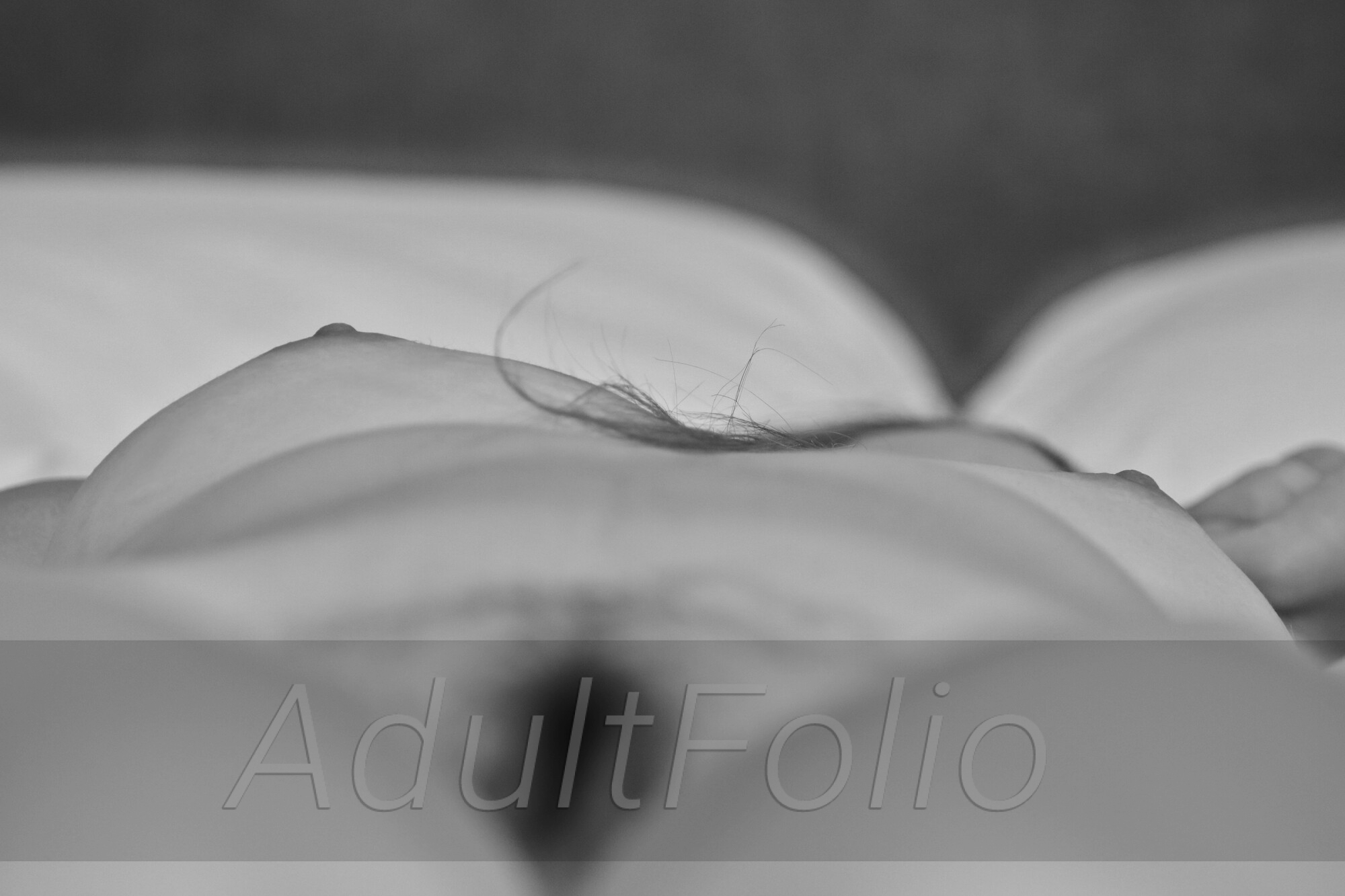 https://www.adultfolio.com/images/watermark/1264762.jpg