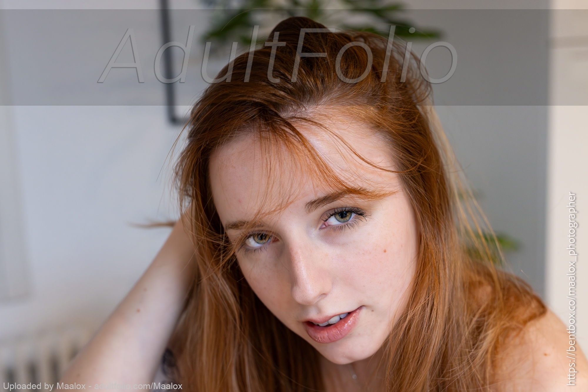 https://www.adultfolio.com/images/watermark/1478201.jpg