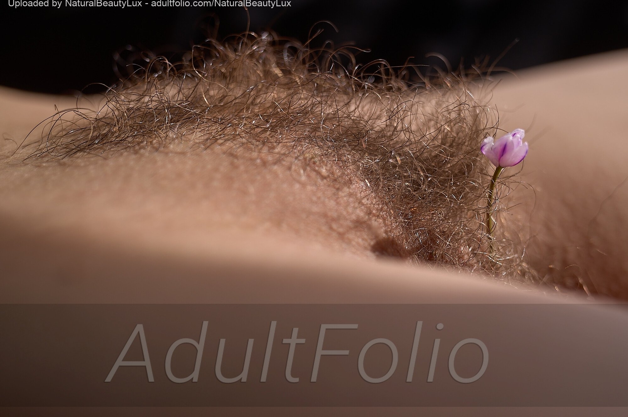 https://www.adultfolio.com/images/watermark/1479461.jpg