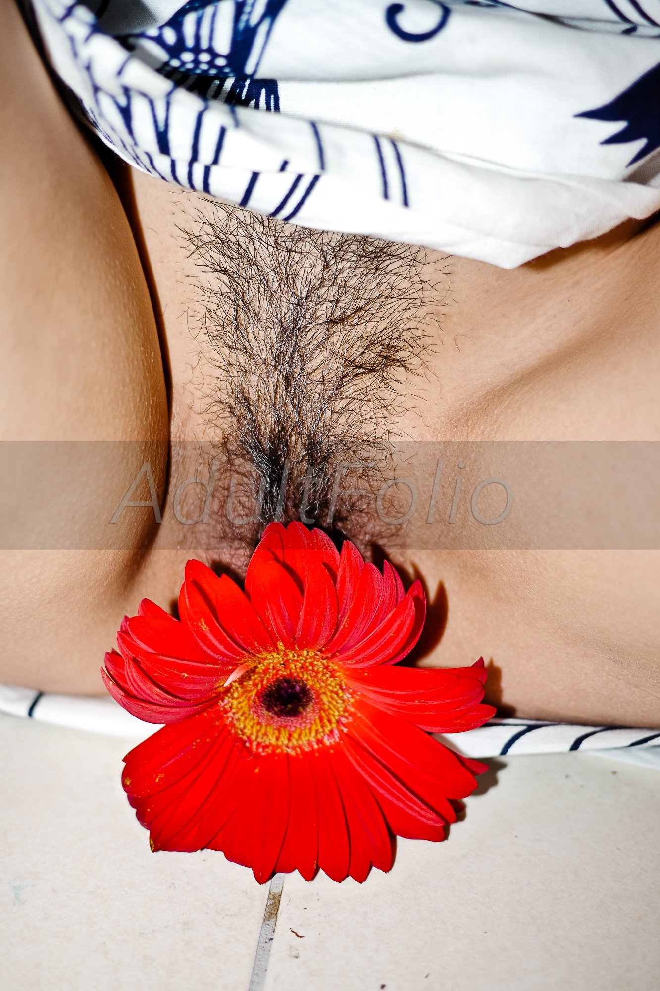 https://www.adultfolio.com/images/watermark/1480318.jpg