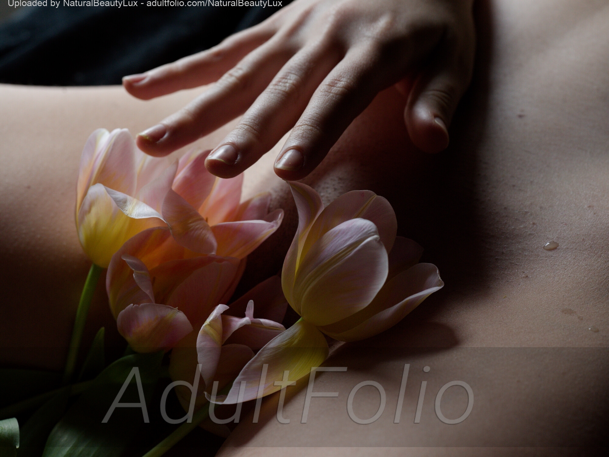 https://www.adultfolio.com/images/watermark/1495893.jpg