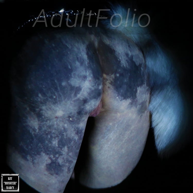 https://www.adultfolio.com/images/watermark/1511510.jpg