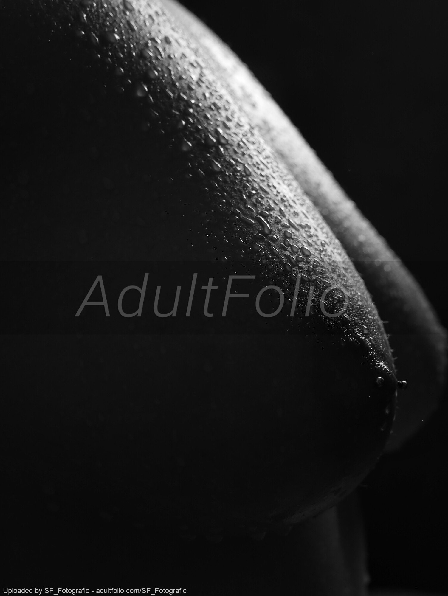 https://www.adultfolio.com/images/watermark/1515700.jpg