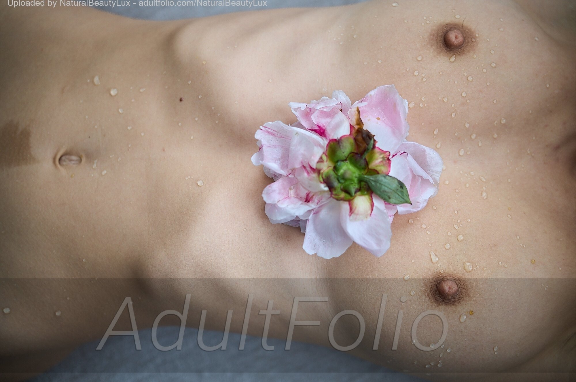 https://www.adultfolio.com/images/watermark/1583469.jpg