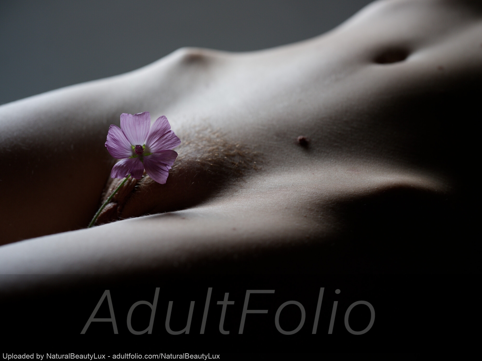 https://www.adultfolio.com/images/watermark/1599277.jpg