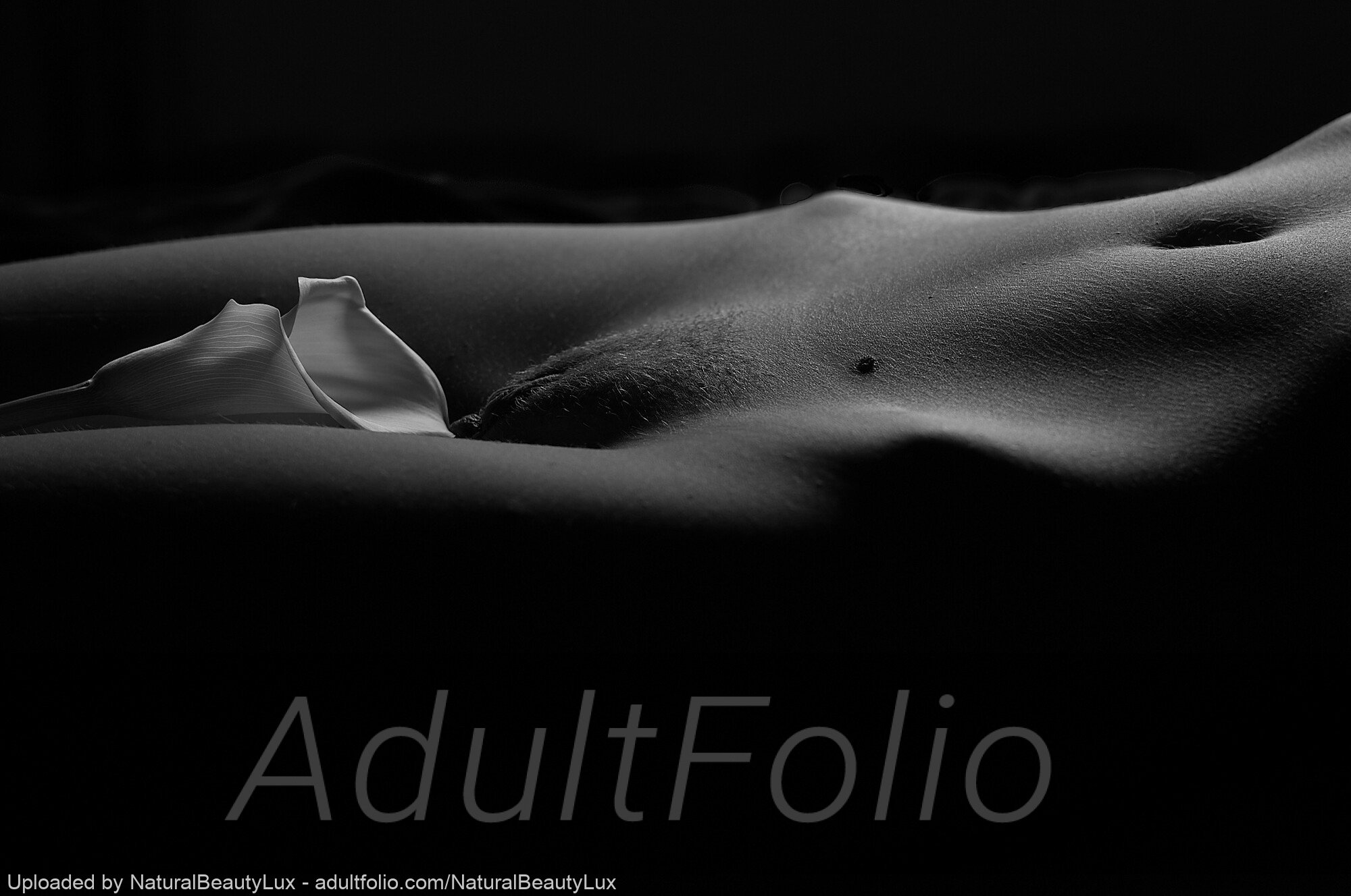 https://www.adultfolio.com/images/watermark/1600273.jpg