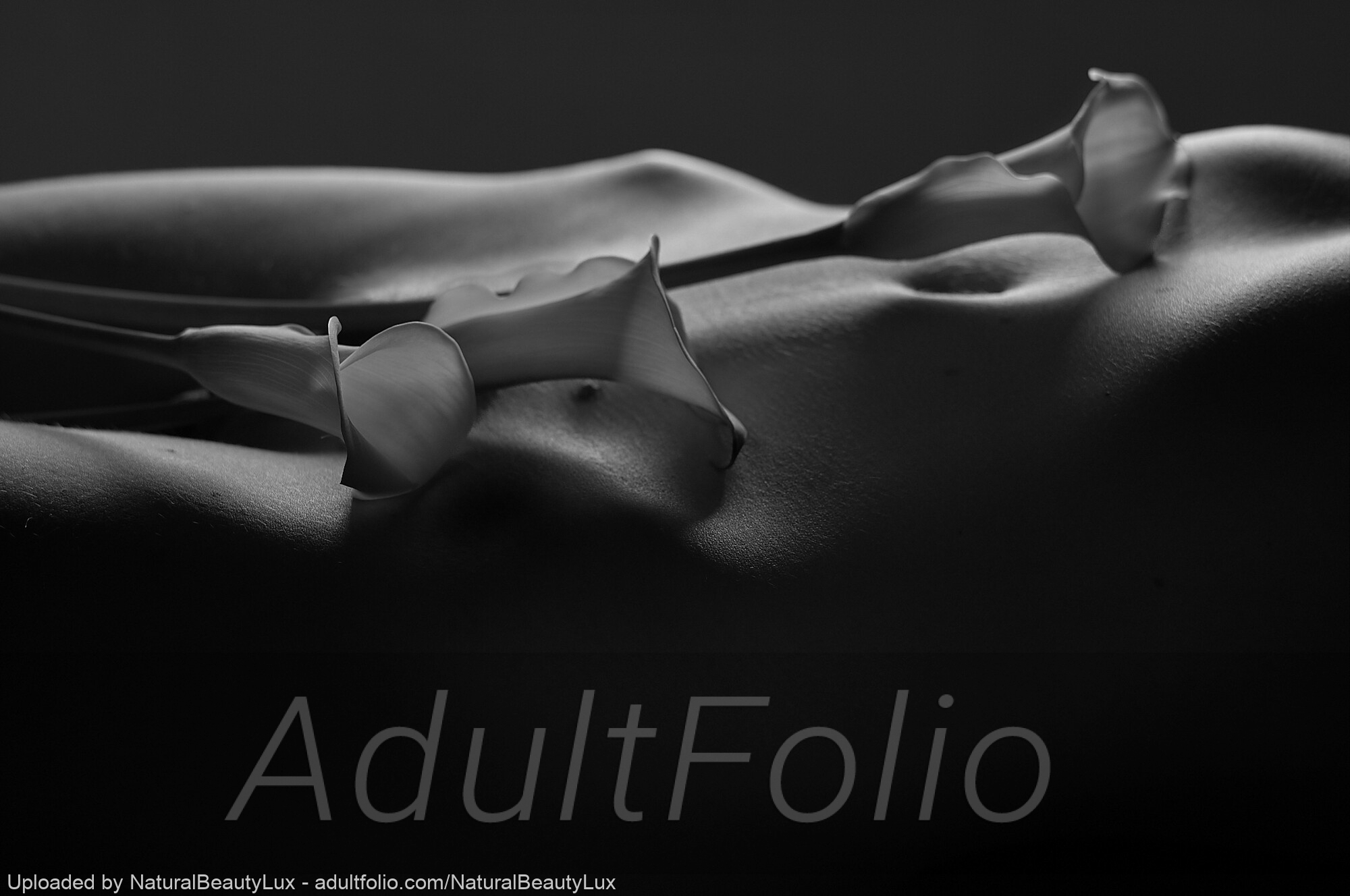 https://www.adultfolio.com/images/watermark/1605426.jpg