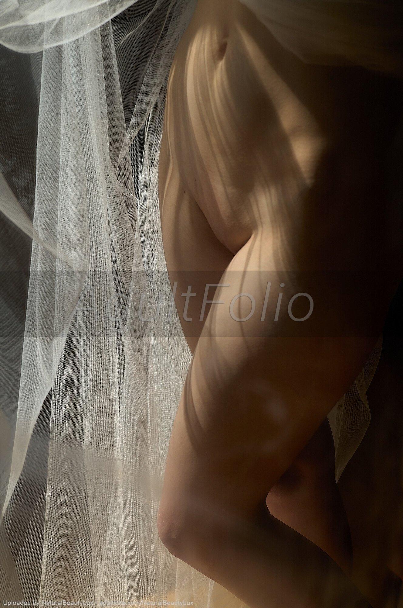 https://www.adultfolio.com/images/watermark/1610927.jpg