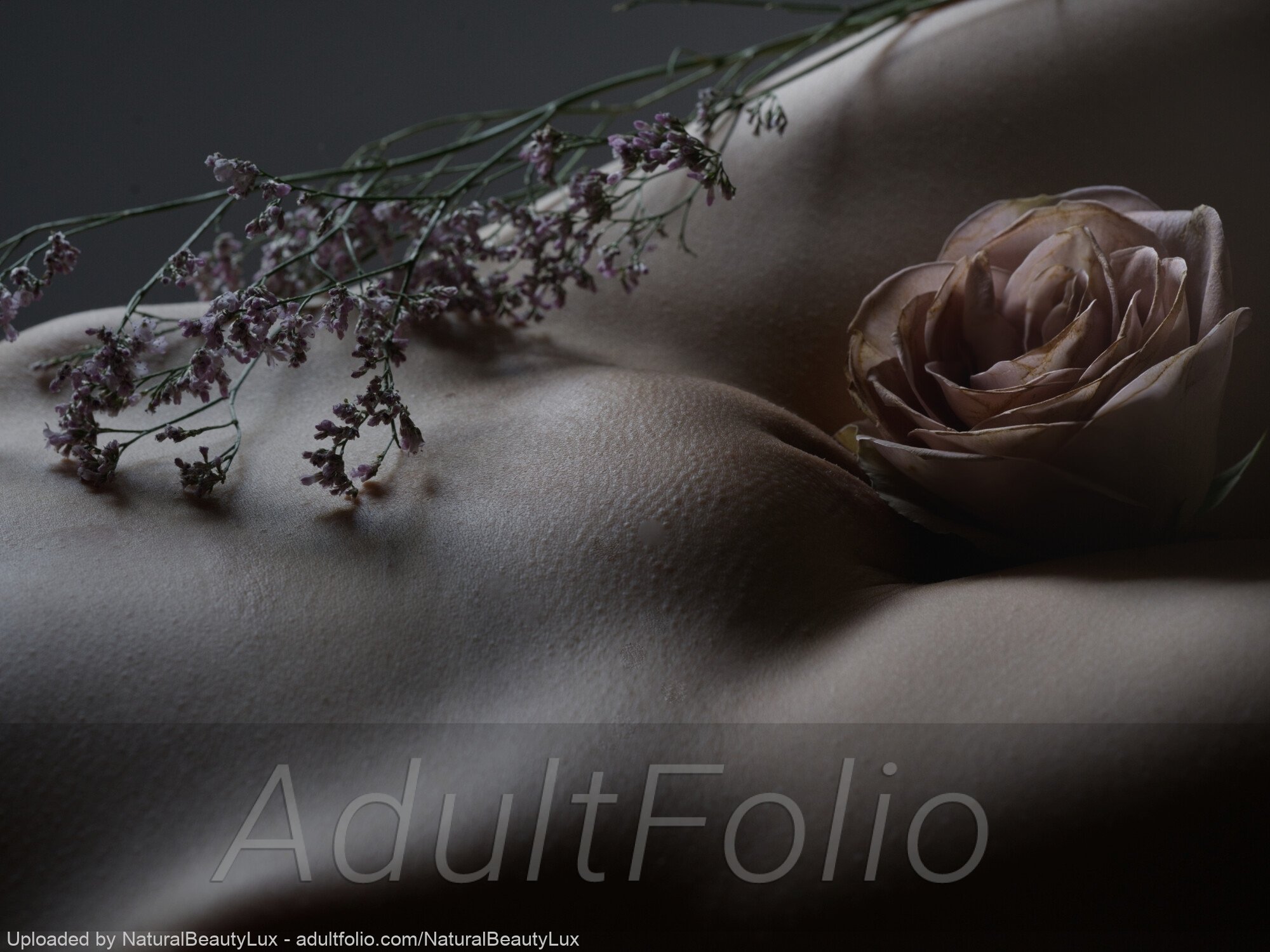 https://www.adultfolio.com/images/watermark/1613708.jpg