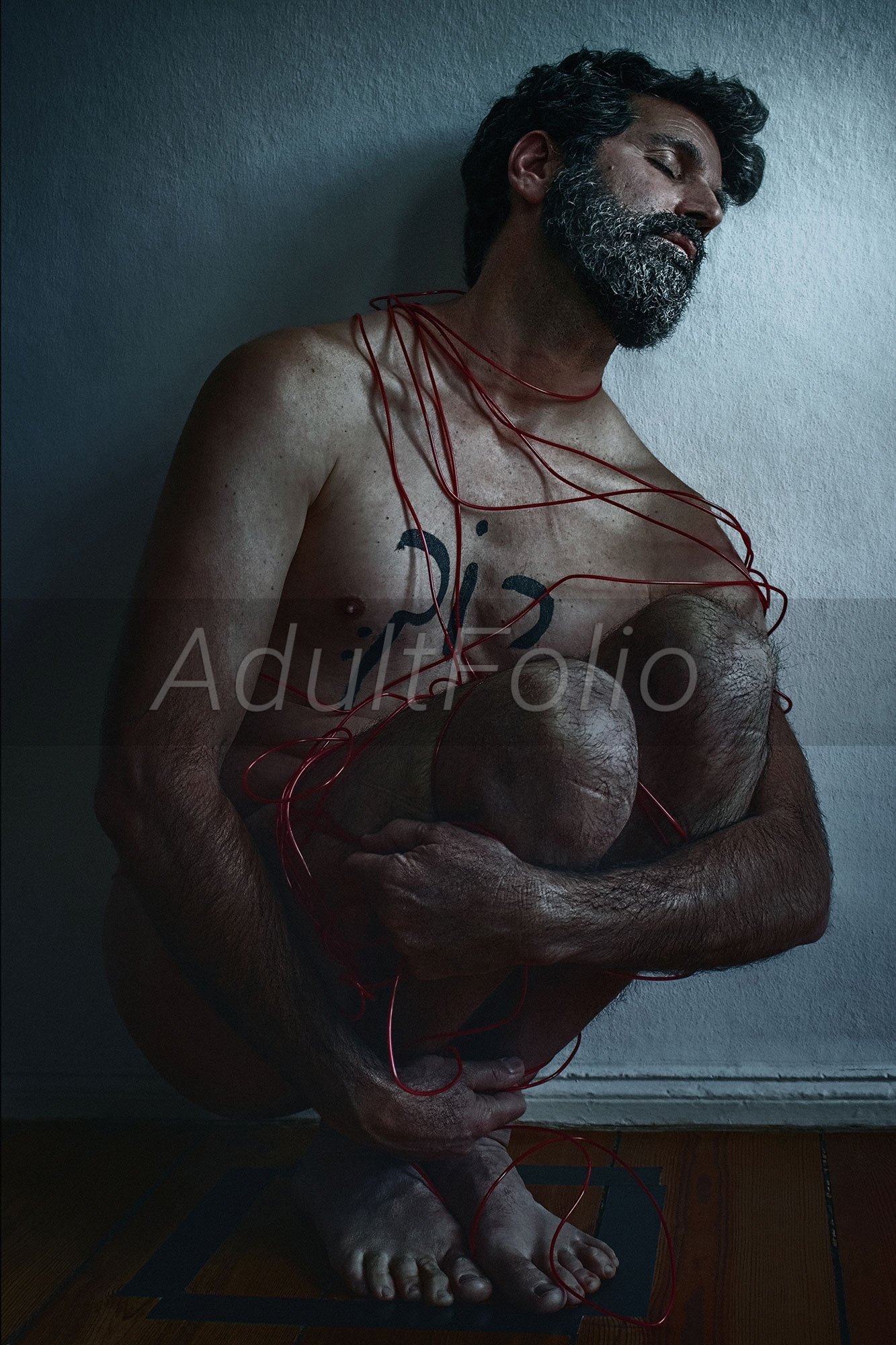 https://www.adultfolio.com/images/watermark/1617731.jpg