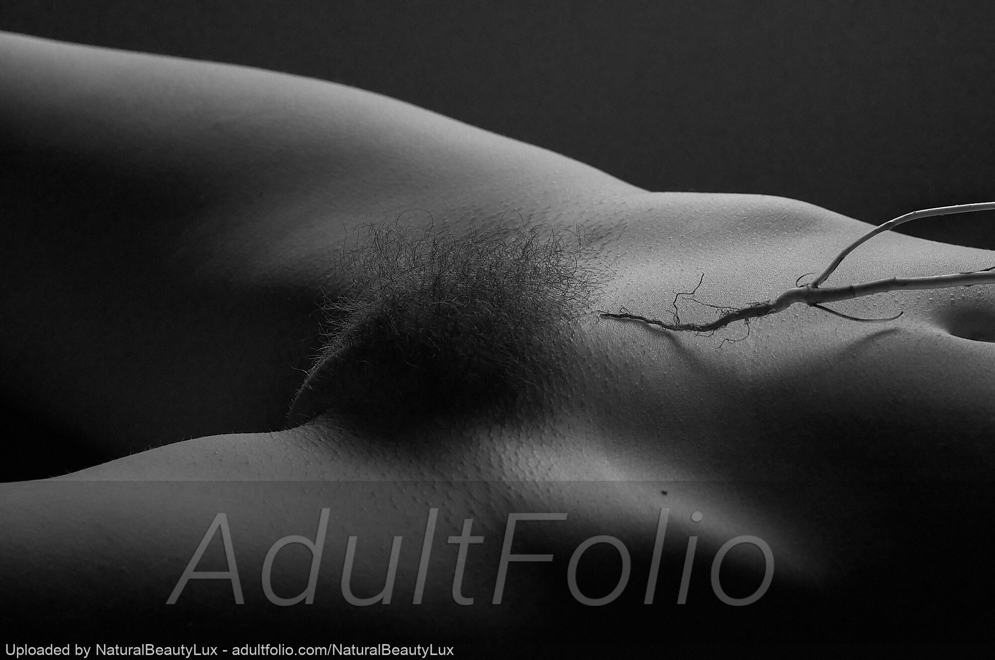 https://www.adultfolio.com/images/watermark/1618910.jpg