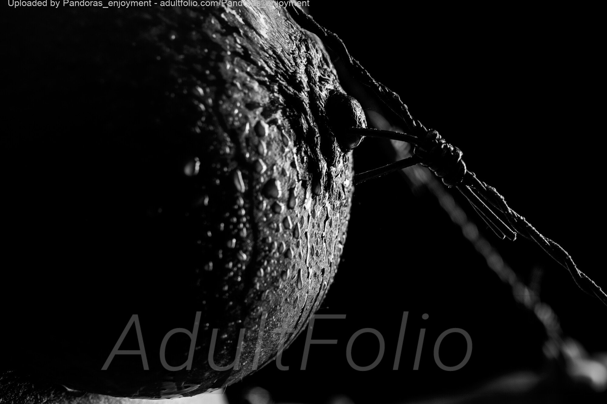 https://www.adultfolio.com/images/watermark/1628926.jpg