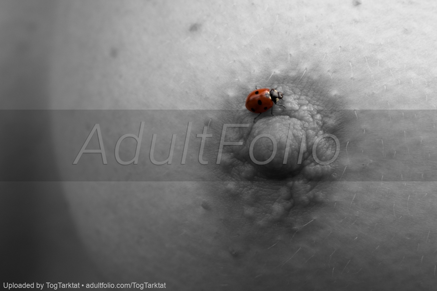 https://www.adultfolio.com/images/watermark/596537.jpg